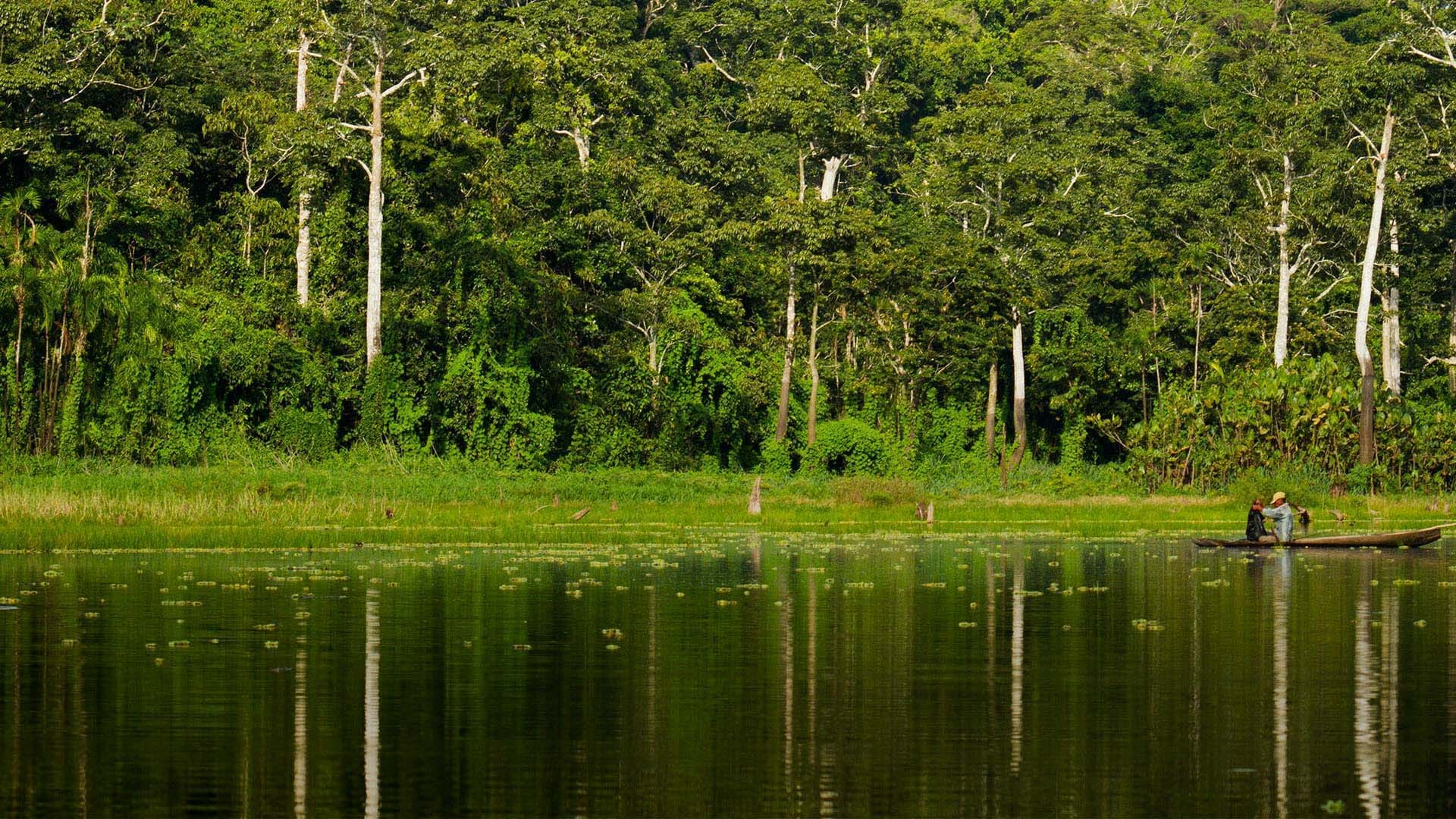 Reserva Nacional Pacaya Samiria
