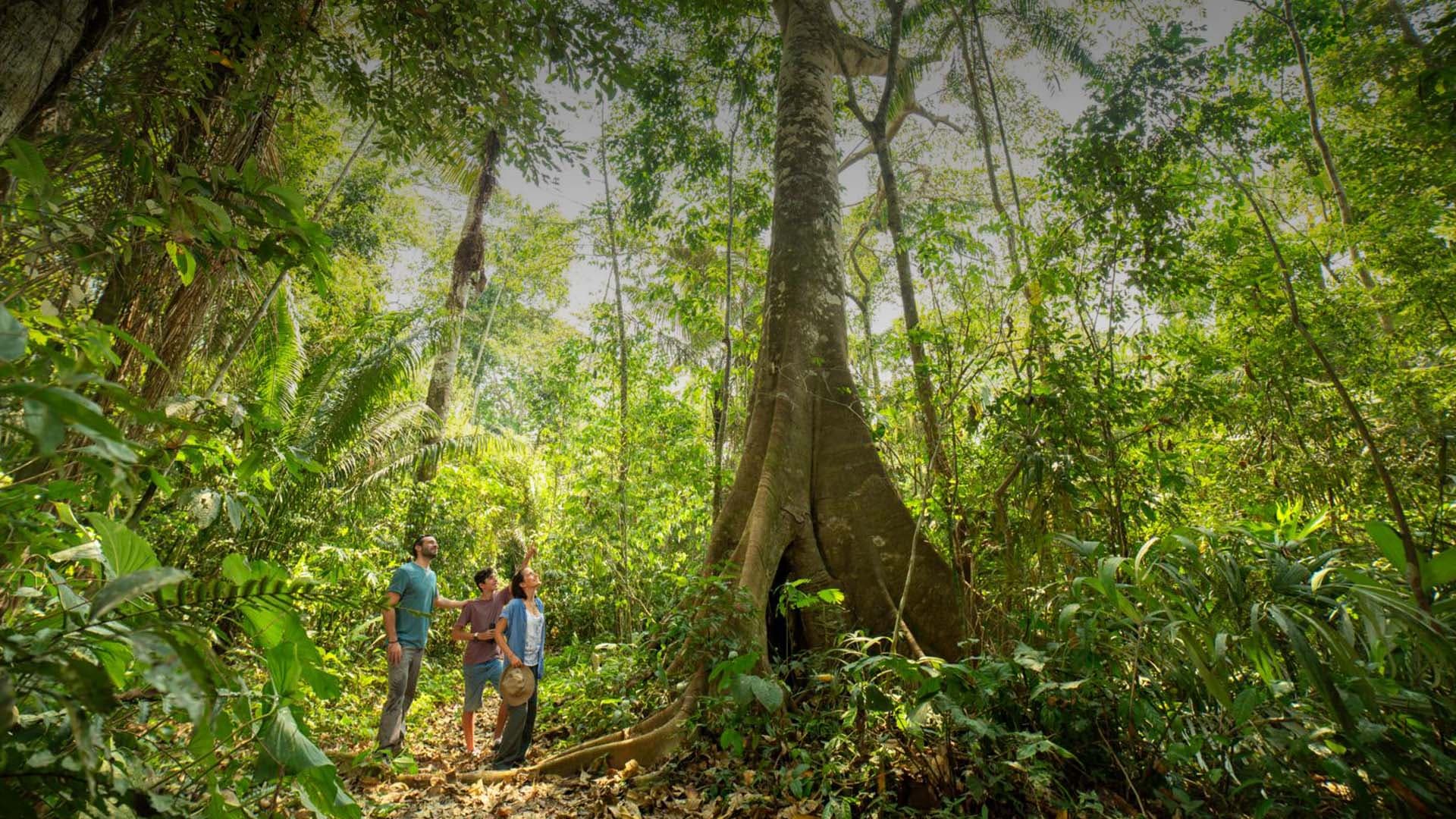 Tourist in the Tambopata National Reserve