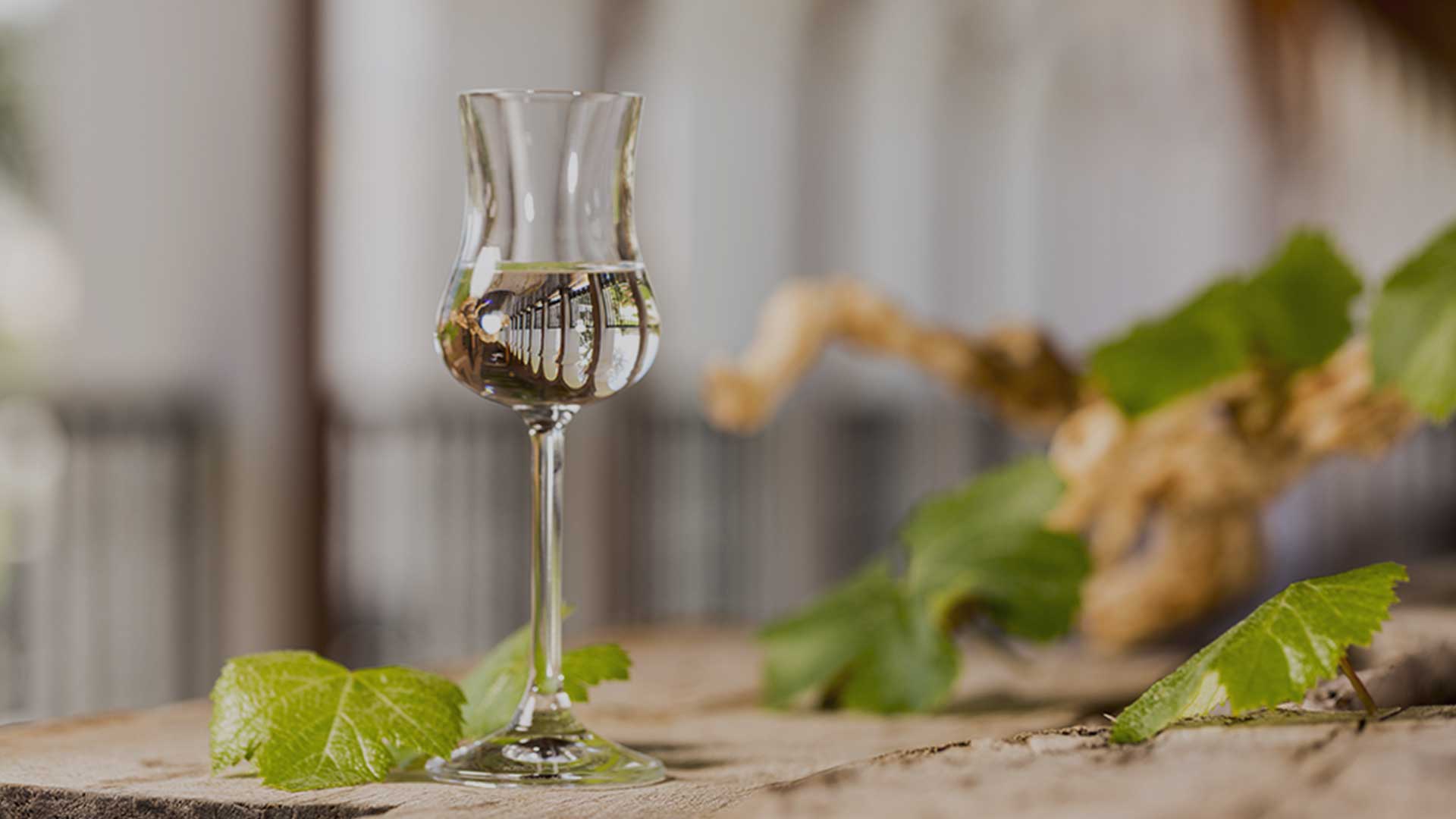 Pisco wins 33 medals at prestigious Virtus International Awards 2022