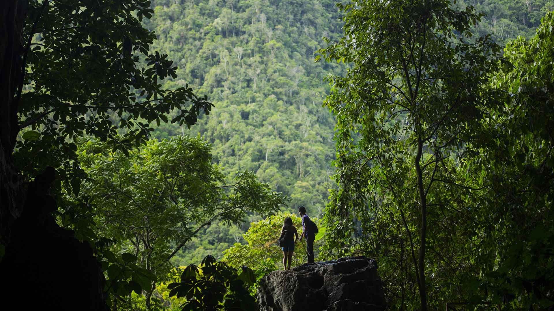 Tingo Maria National Park, honored in Green Destinations Story Awards